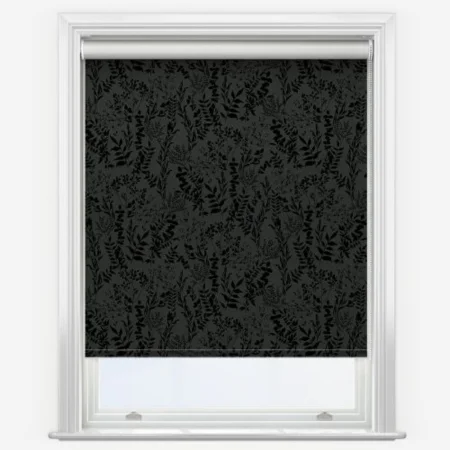 Black colour blinds