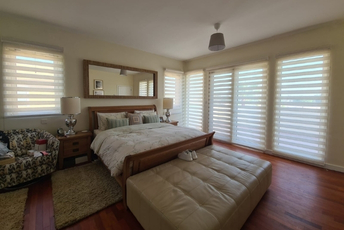 Modern Duplex Blinds Online