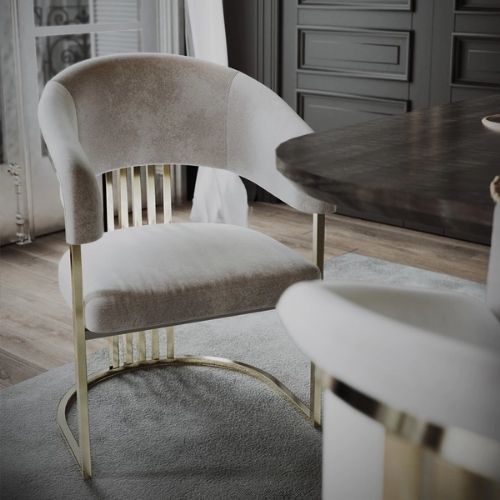 Modern Curve Dining Chair