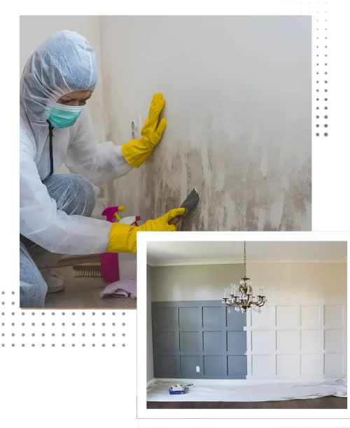 Reliable wall treatments available across UAE