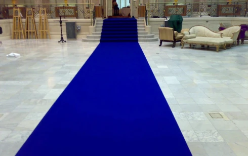 Royal blue carpet luxury flooring